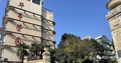 網(wǎng)傳上海阿姨坐擁90套房產(chǎn)和106個車位 有人去調(diào)查了